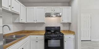 12313 TIERRA ARENA Drive Gallery 10