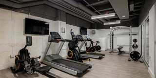 Netherland Gallery 31