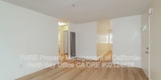 146 Brush Creek Road Gallery 4
