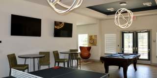 Goldelm at Bennett Park Gallery 2