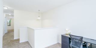 131 High Bluff Circle Gallery 9