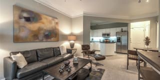 The Circle at Hermann Park Gallery 32