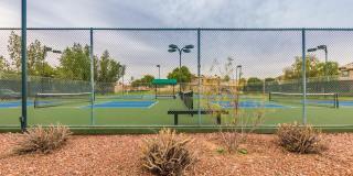 3706 E DESERT FLOWER Lane Gallery 28