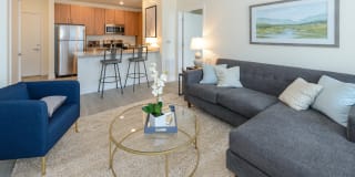 The Preserve Scott's Addition Gallery 18