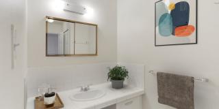 60 Corona Gallery 13