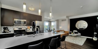 TGM Northshore Gallery 33