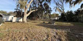 811 Tangerine Street Gallery 11