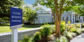 Alvista Bowie Gallery 41