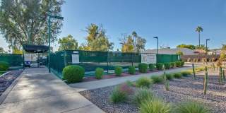 Beautiful 55+ Ahwatukee neighborhood spacious 2/br 2/ba home -  Rent Includes membership to Ahwatukee Recreation Center Gallery 42