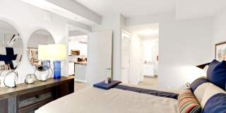 Insignia On M Gallery 55