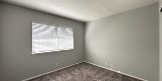 Summer Woods Gallery 21