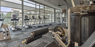 The Abbey Gallery 15