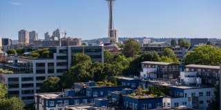 Dexter Lake Union Gallery 49