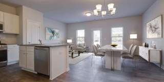 Poplin Trace Gallery 14