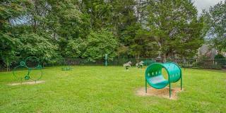 The Park at Midtown Gallery 8