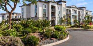 The Element Gallery 26