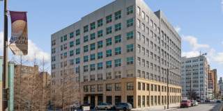 Mily on Green Gallery 24