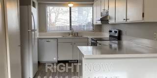 1510 Storey Street 1510 Storey Street Gallery 1