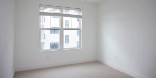 Luna Upper Westside Gallery 29