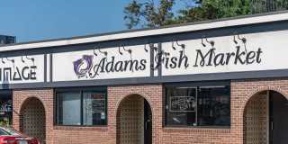 Adams Village Gallery 22