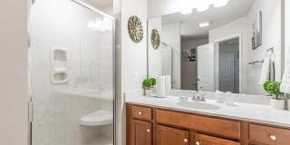 2801 McDougall Dr. Gallery 24