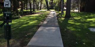 TRENT 543 Gallery 21