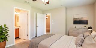 8643 Dylan Michael Drive Gallery 11