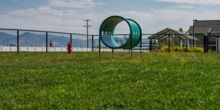 Sandalwood Gallery 30