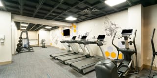 The Flats on Fifth Louisville Gallery 15