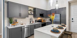 Indigo Palmetto Bay Gallery 2