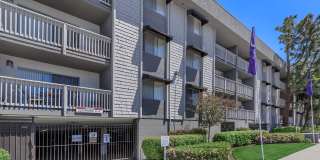 Pacific View Apartment Homes Gallery 6