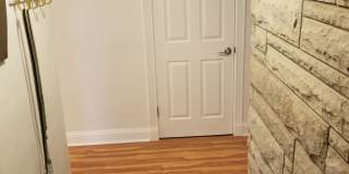 Beautiful Home Located in Historic Urbana Gallery 3