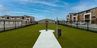 The Avante Gallery 55