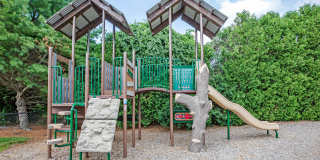 Essex Apartments Gallery 21