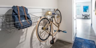 AVA Wheaton Gallery 11