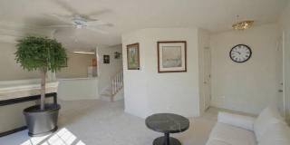 45460 CONDUCTOR Terrace unit: 300 Gallery 1