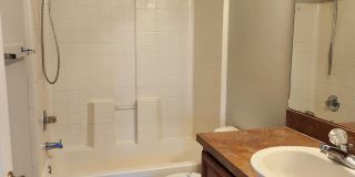 15702 Fishhawk Falls Dr Gallery 19