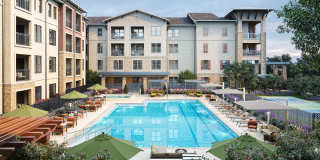 Elate Bent Tree Gallery 1