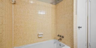 Three Bedroom with Basement! Gallery 11