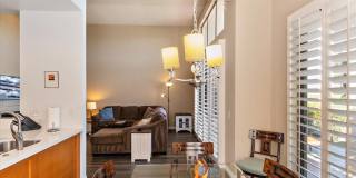 54838 Oak Tree Gallery 17