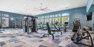 Mason Stuart Gallery 27