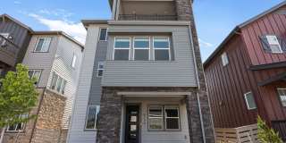 Sterling Ranch Stunner!! Gallery 1