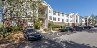 Sawmill Park Gallery 3