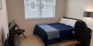 Stunning LIKE NEW 4 Bedroom in Wolf Ranch Gallery 33