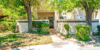 28859 Desert Princess Drive Gallery 3