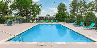 Sussex Downs Gallery 74