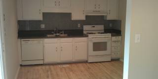 Gorgeous 4 bedroom 2 bath home Gallery 10