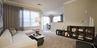 Washington Crossing Gallery 7