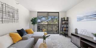 2301 Shelter Creek Ln Gallery 1