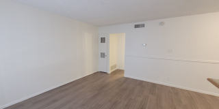Penthouse Gallery 65